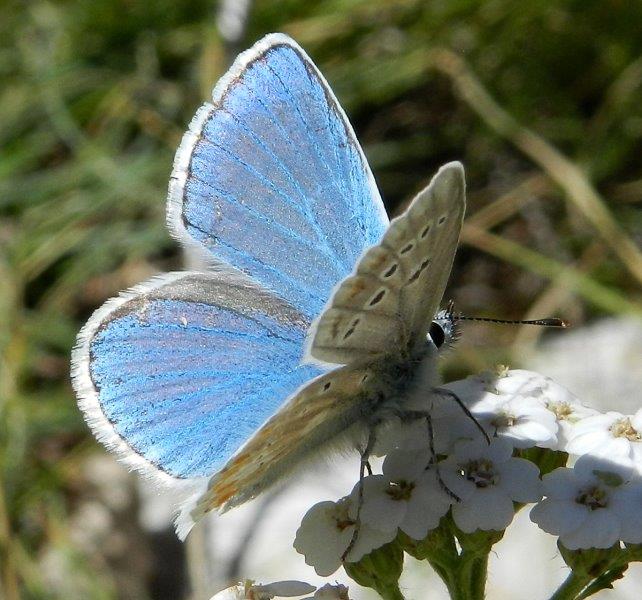 quelle che non ero abituato a vedere...