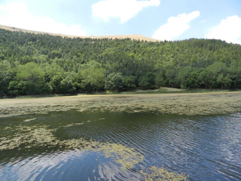 Laghi.......della PUGLIA