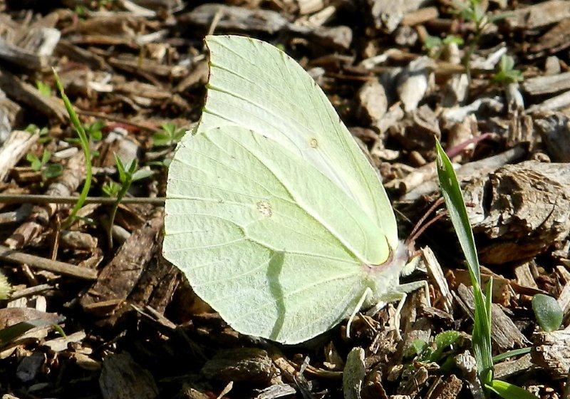 agli inizi di dicembre...