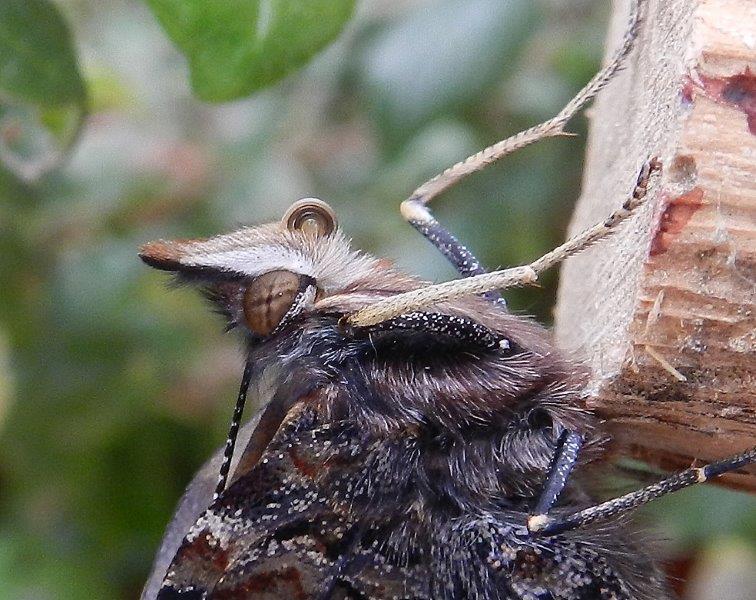 e'' sempre una meraviglia...