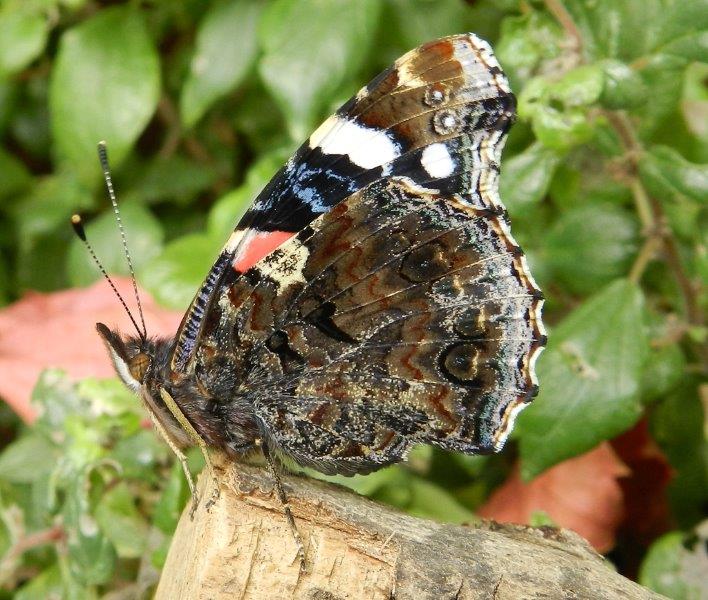 e'' sempre una meraviglia...