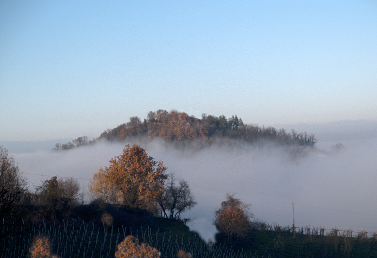 Oasi naturalistica del Carmine