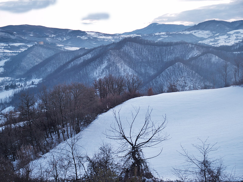 Oasi naturalistica del Carmine