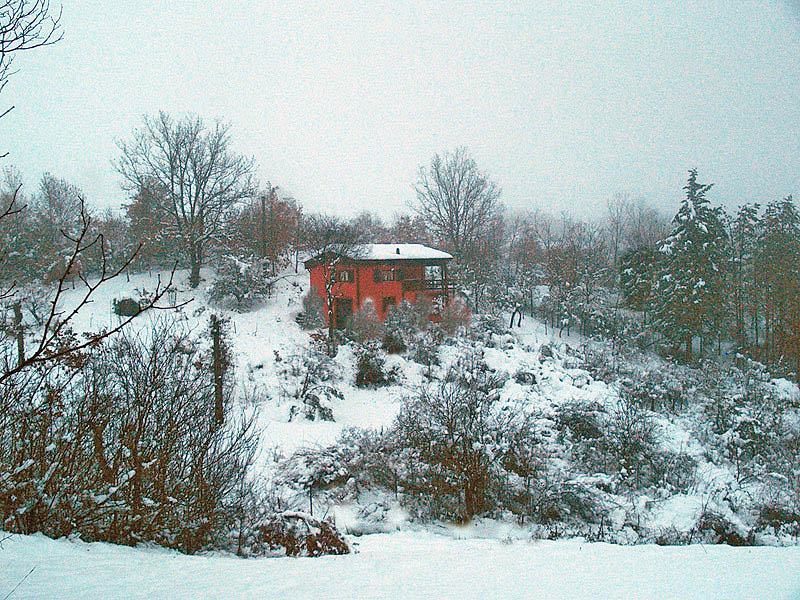 Oasi naturalistica del Carmine