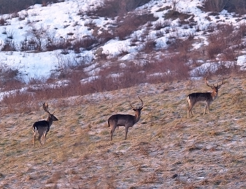 Oasi naturalistica del Carmine