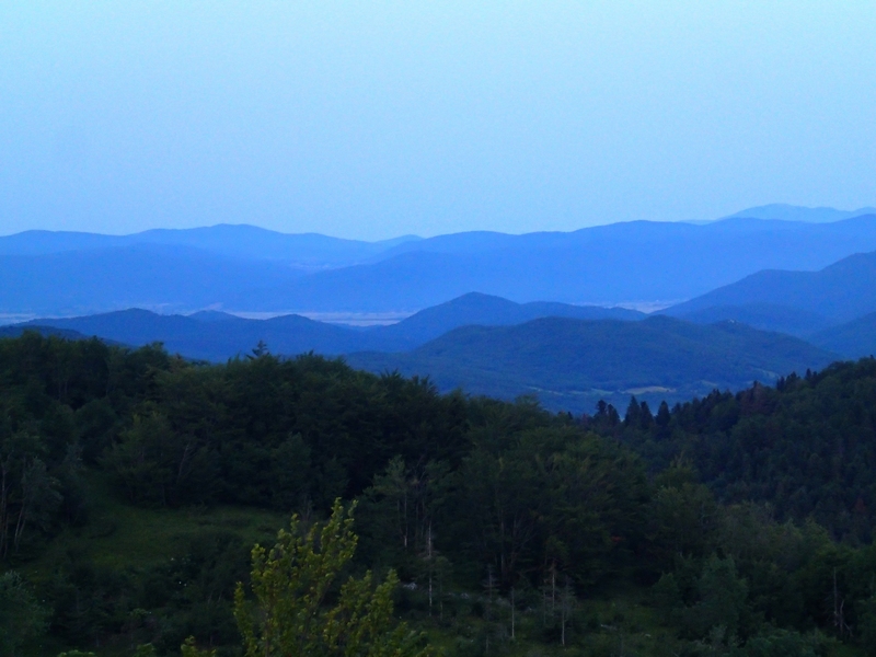 Il Velebit e le sue farfalle