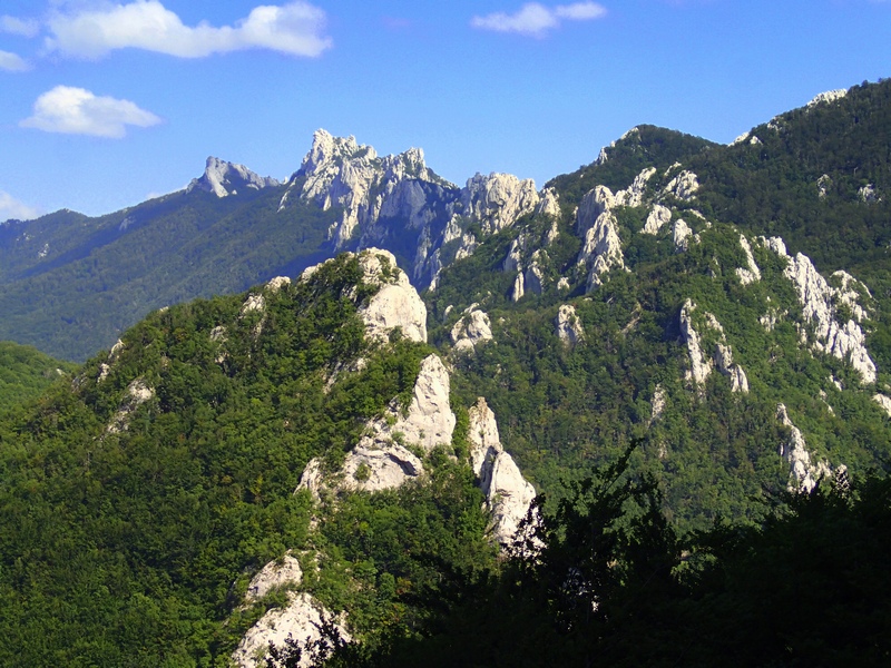 Il Velebit e le sue farfalle