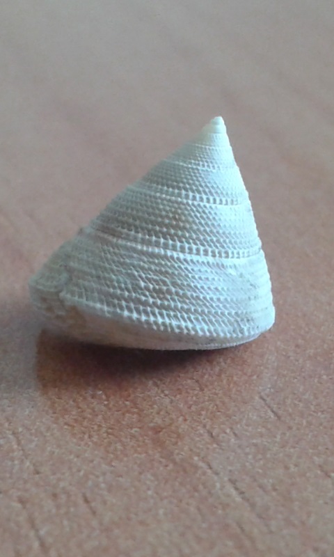 Presentacion y duda desde Espaa