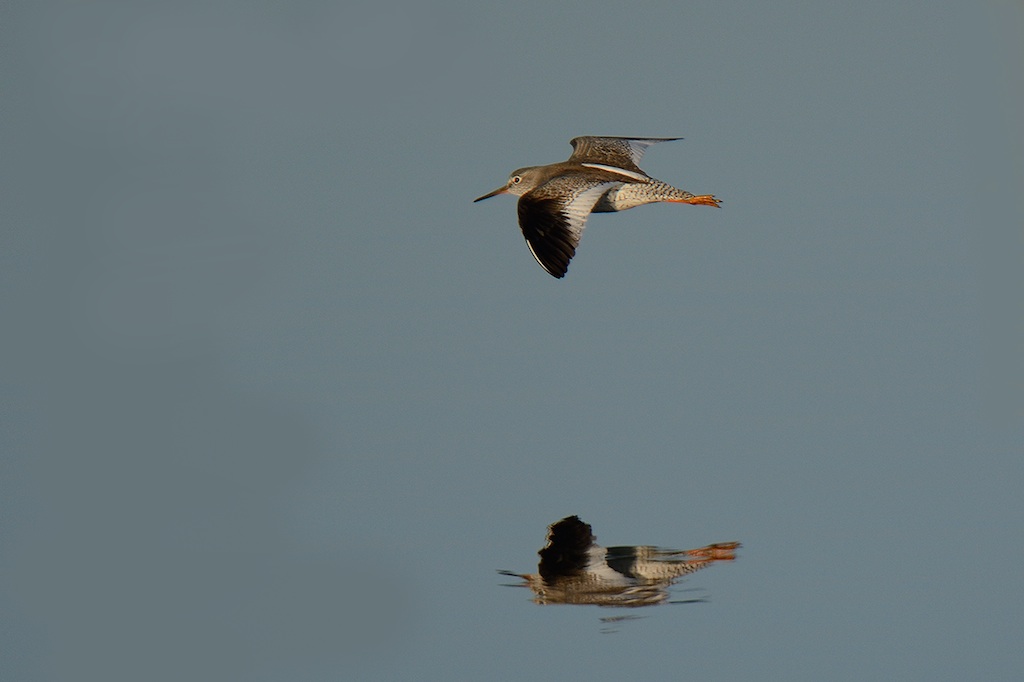 Ad ali spiegate, il sogno di Icaro.