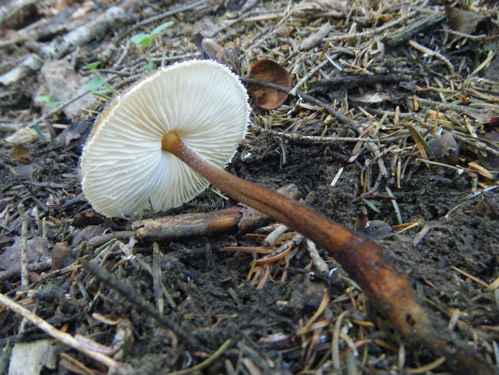 ...eppur si muove...