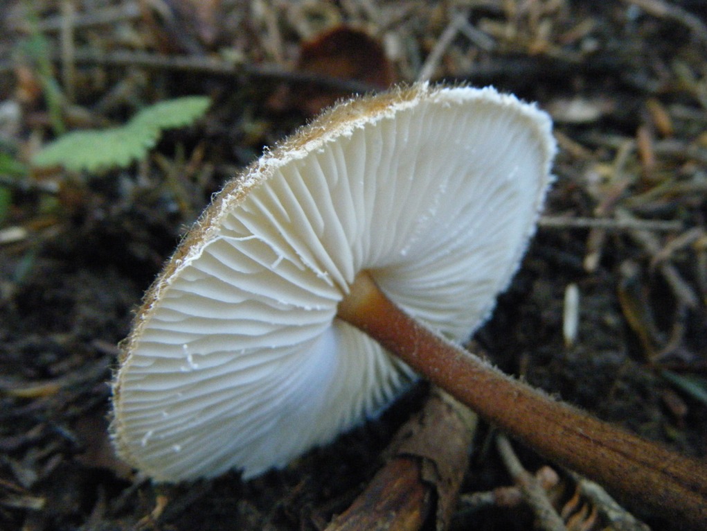 ...eppur si muove...