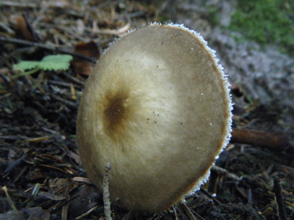 ...eppur si muove...