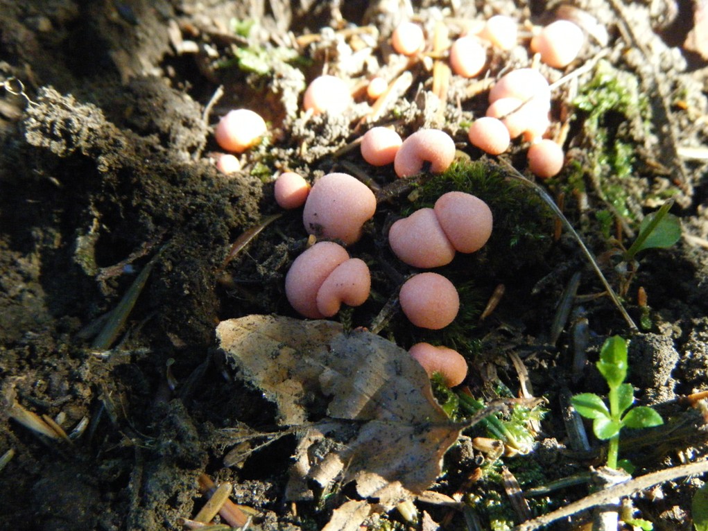 ...eppur si muove...