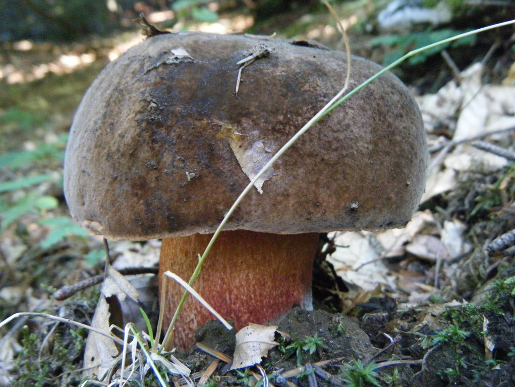 ...eppur si muove...