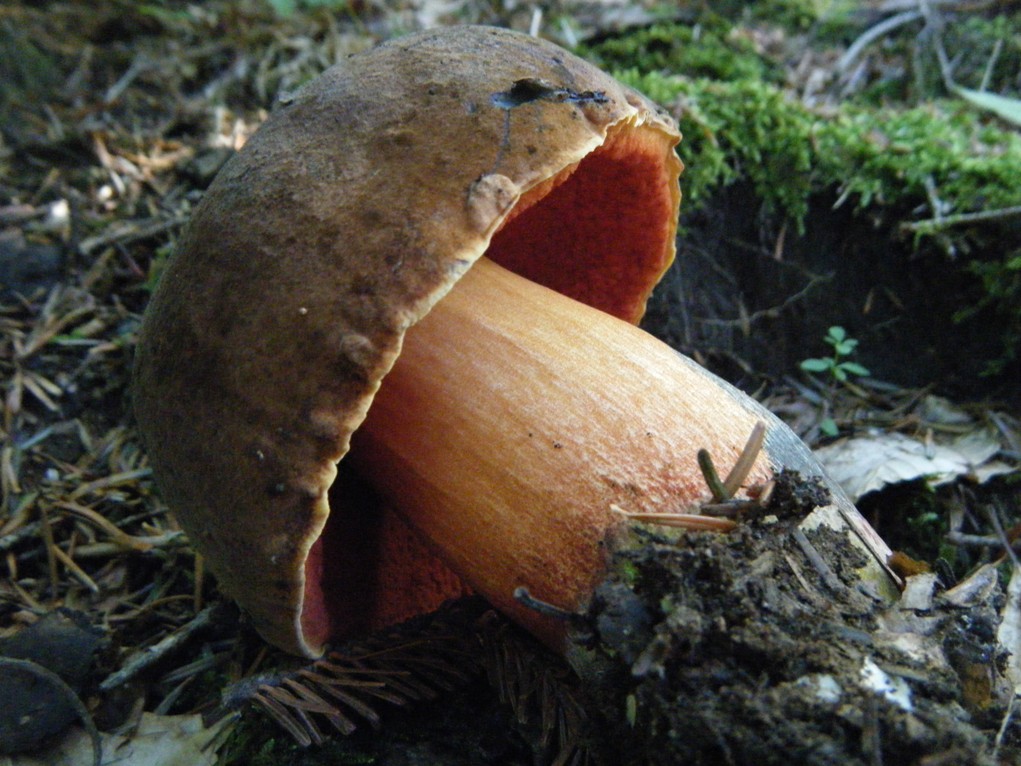 ...eppur si muove...