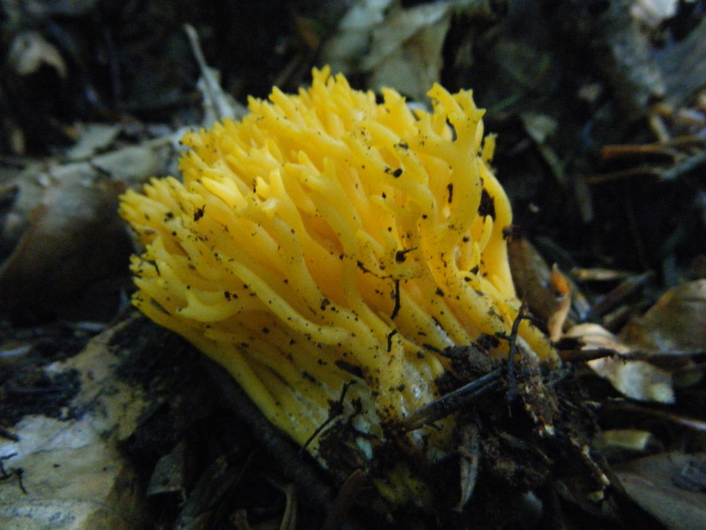 ...eppur si muove...