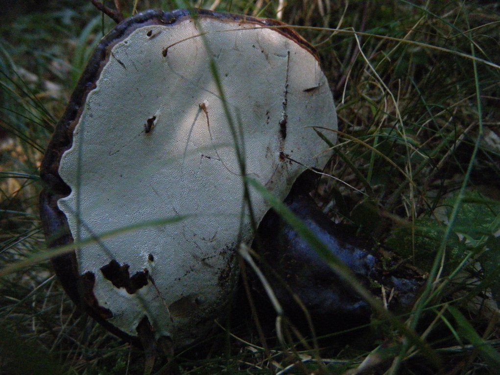 ...eppur si muove...