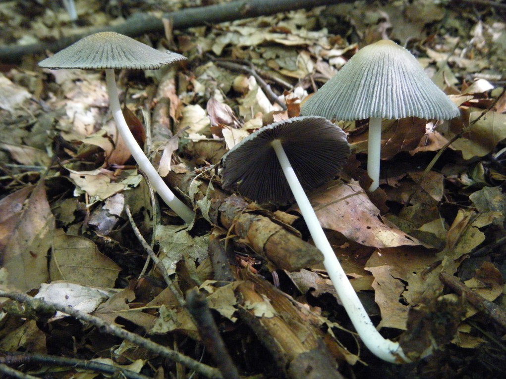 ...eppur si muove...