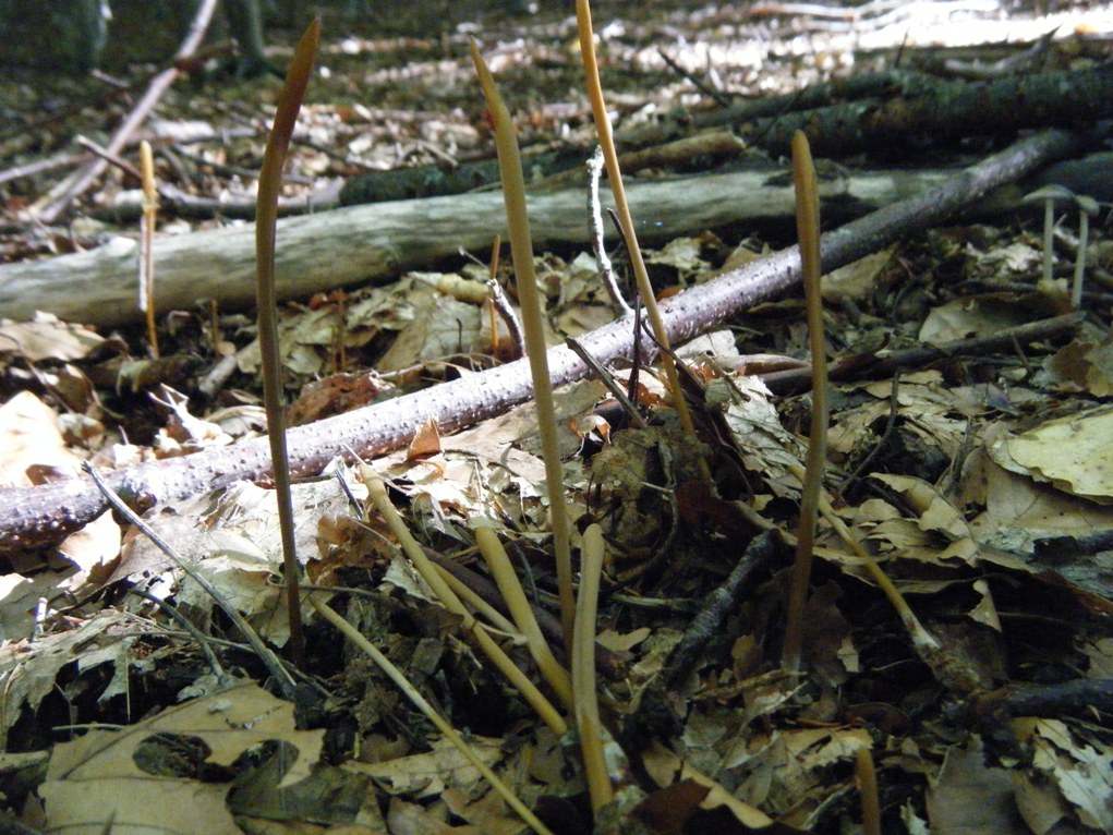 ...eppur si muove...