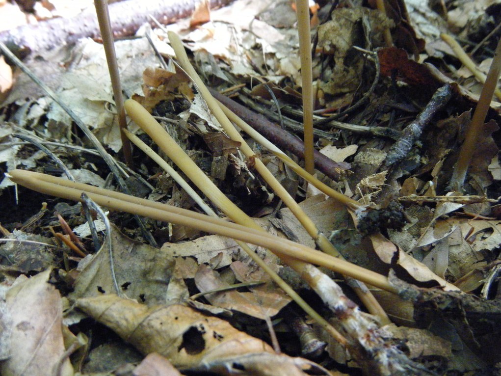 ...eppur si muove...