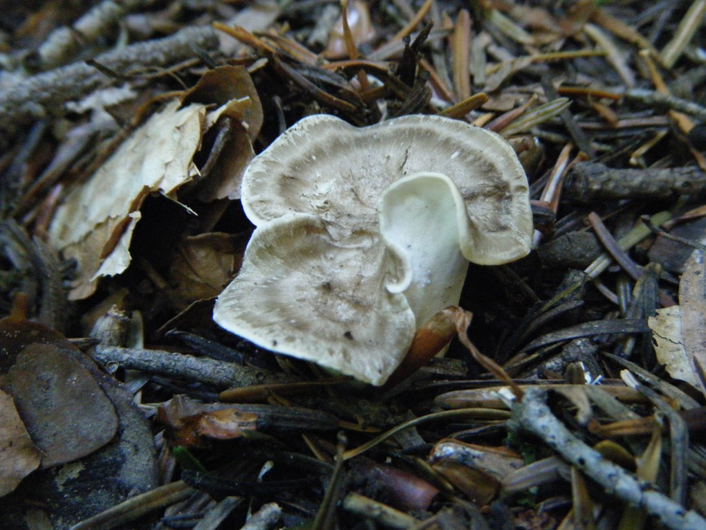 ...eppur si muove...