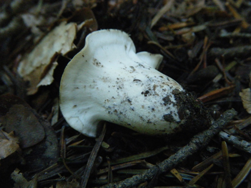 ...eppur si muove...