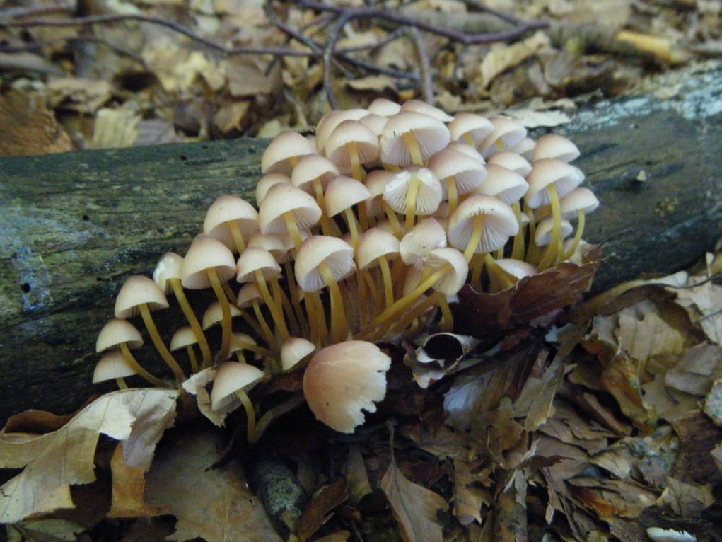 ...eppur si muove...