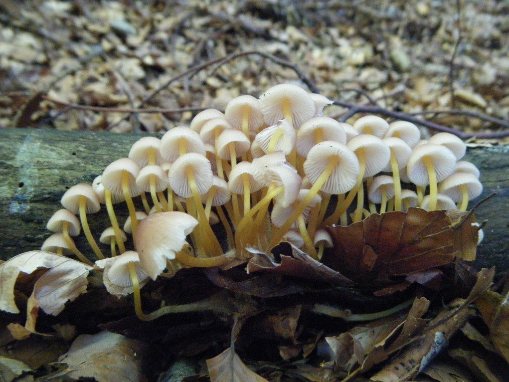 ...eppur si muove...