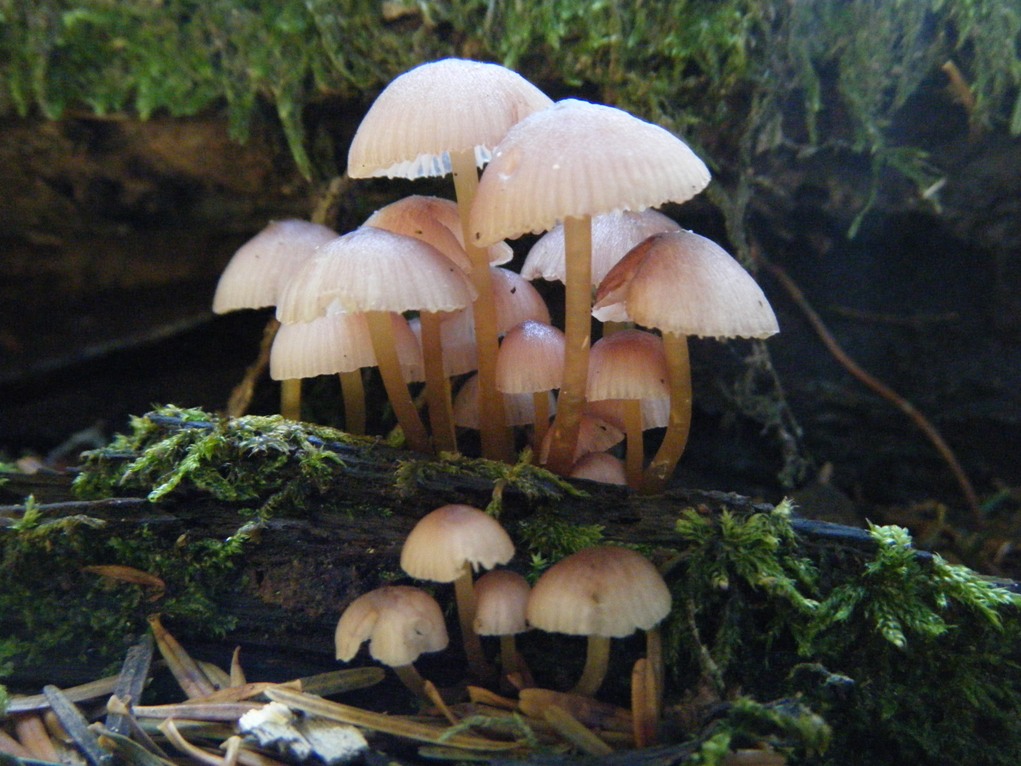 ...eppur si muove...