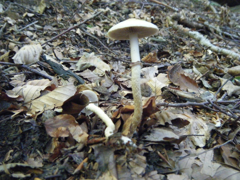 ...eppur si muove...