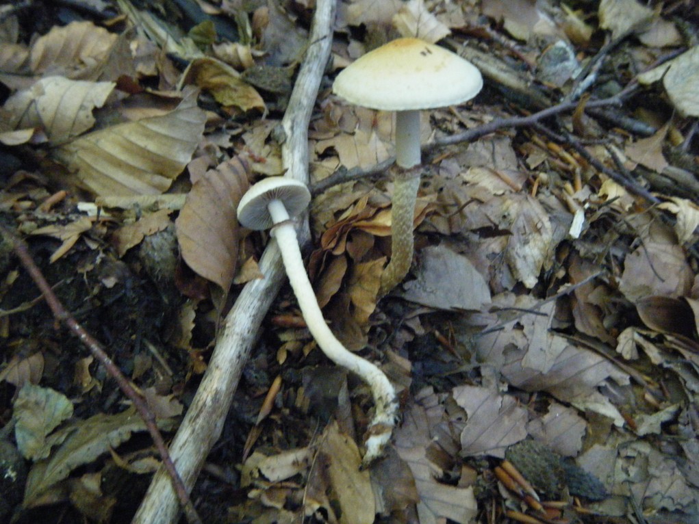 ...eppur si muove...