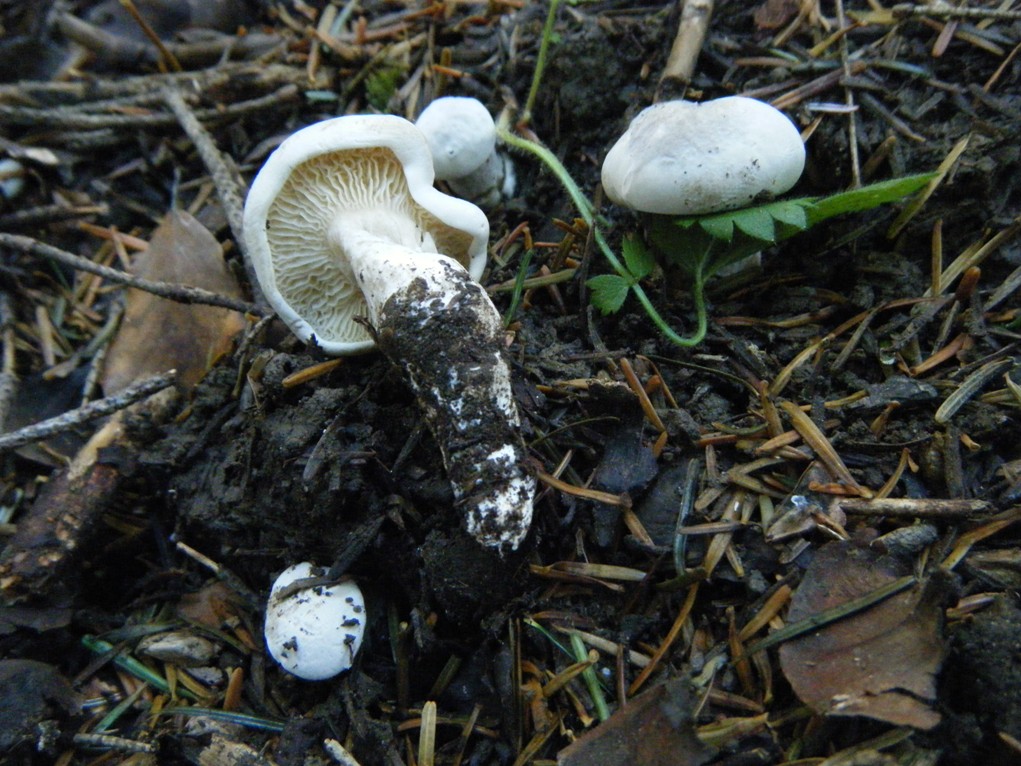 ...eppur si muove...