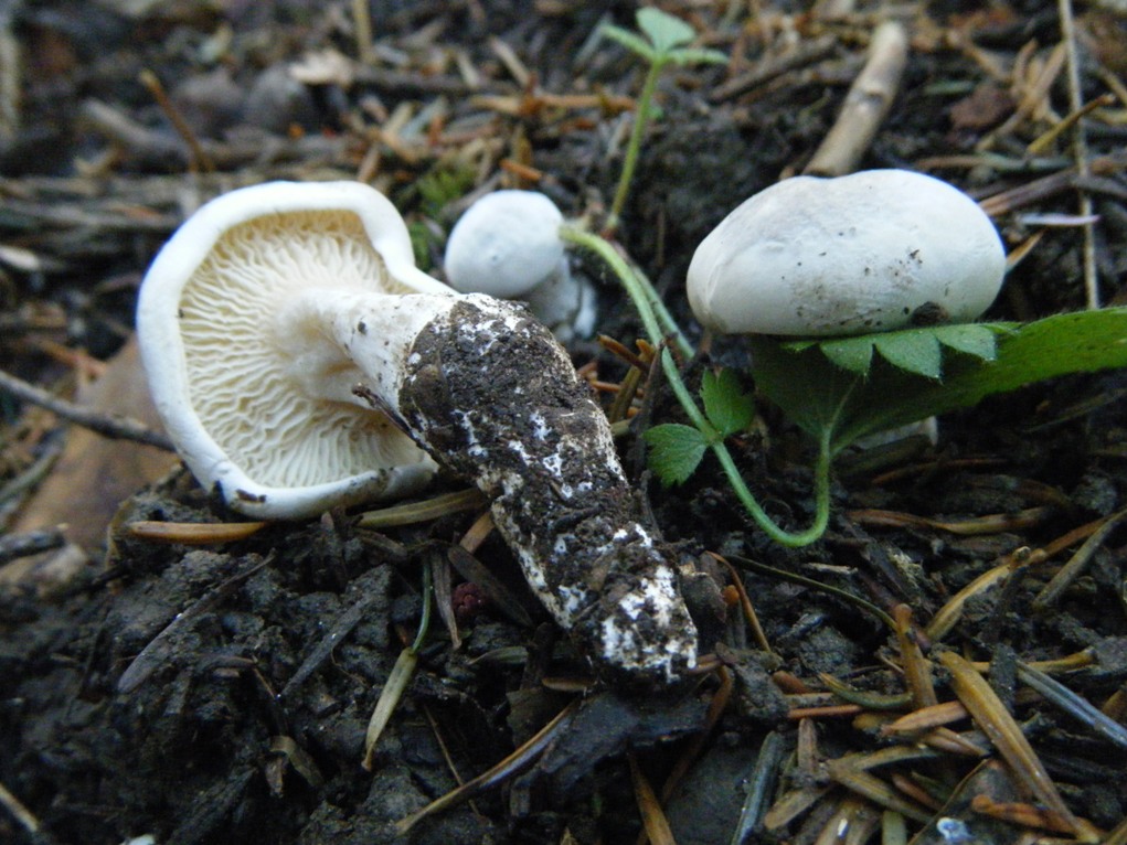 ...eppur si muove...