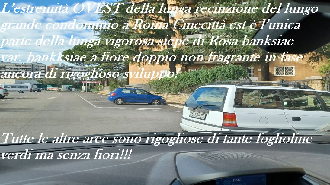 si ritorna sempre sul luogo del delitto