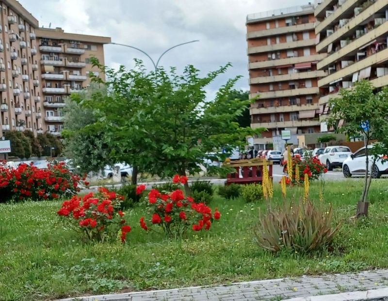 in un mercarto rionale romano