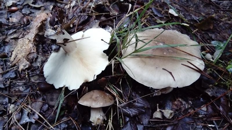 fotografato l''8-12-2019 / 2