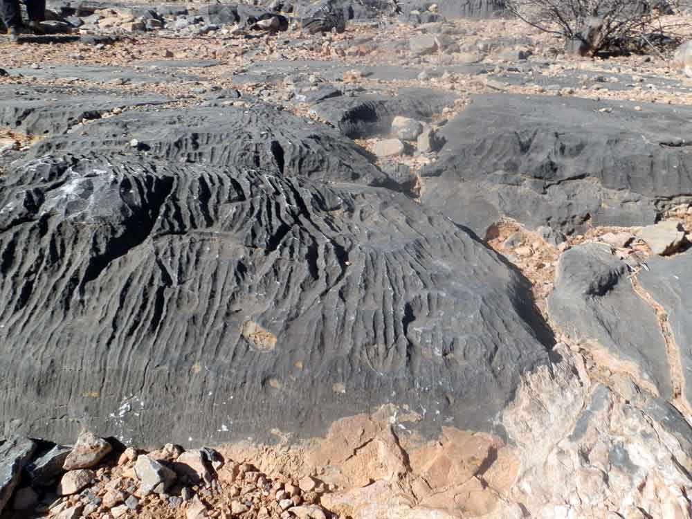 Rocce 