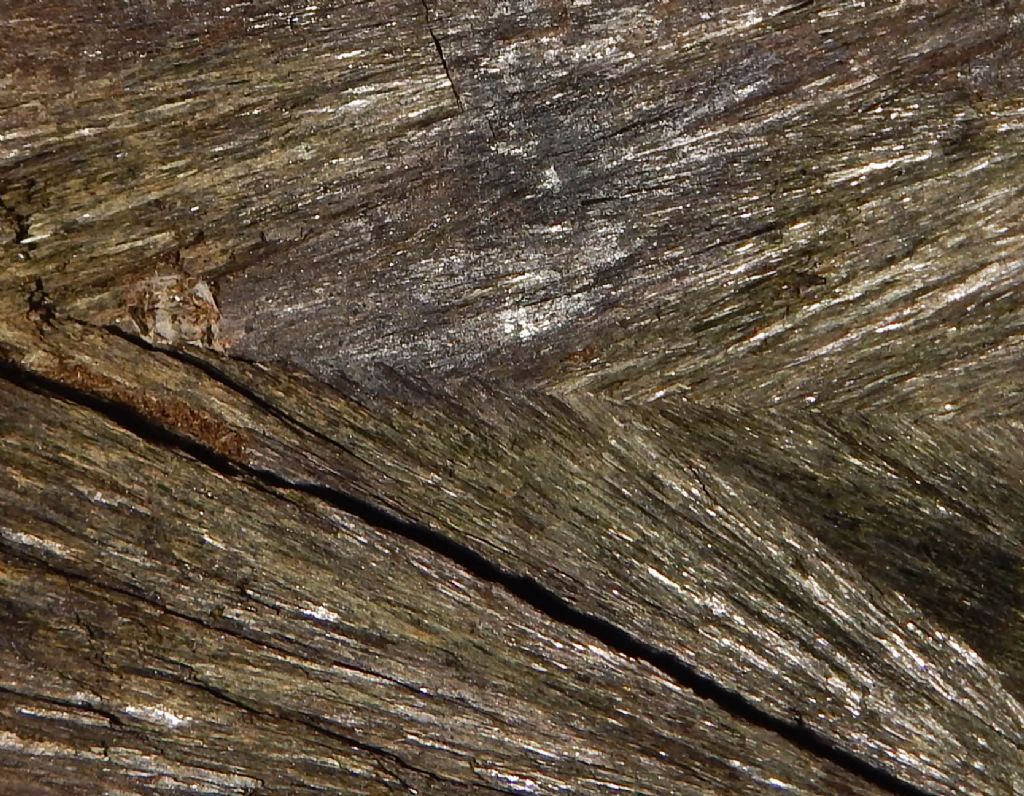 identificazione minerale - pirosseno (probabile hedenbergite)