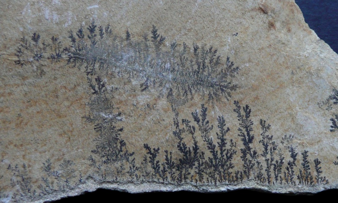 Simpatici disegni sulle rocce