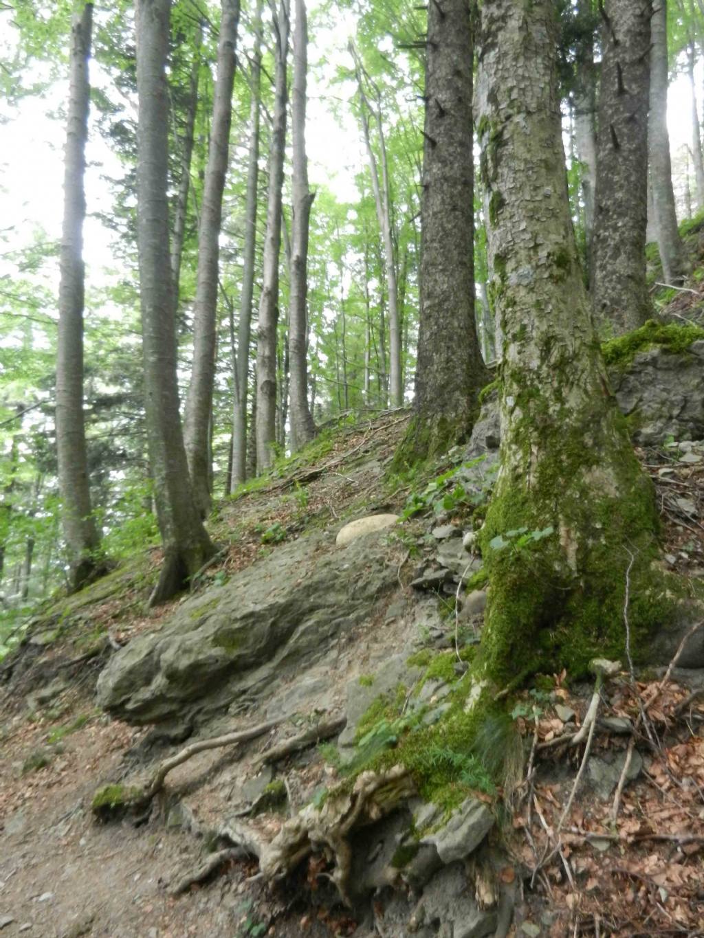 inclusione interessante