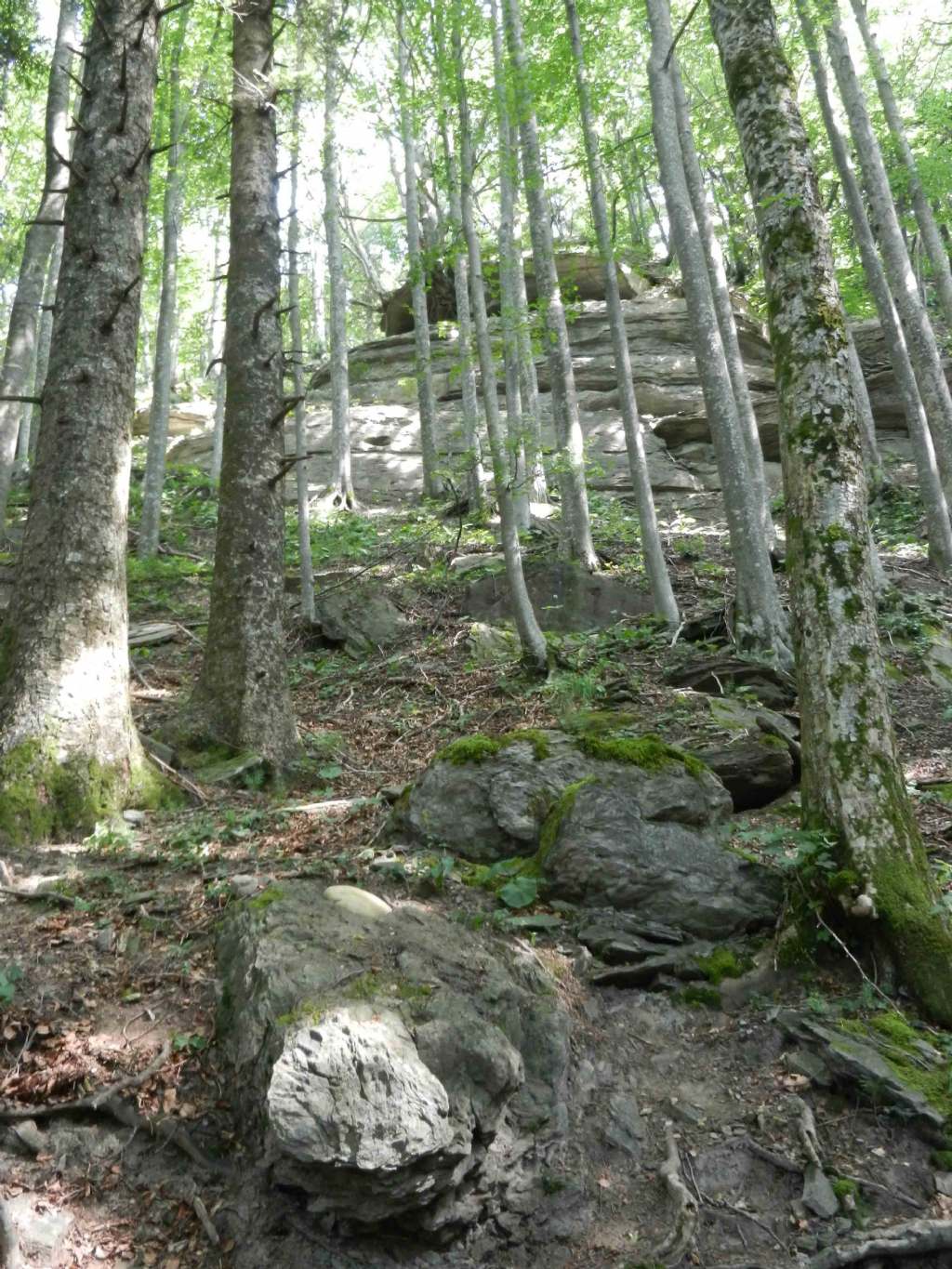 inclusione interessante