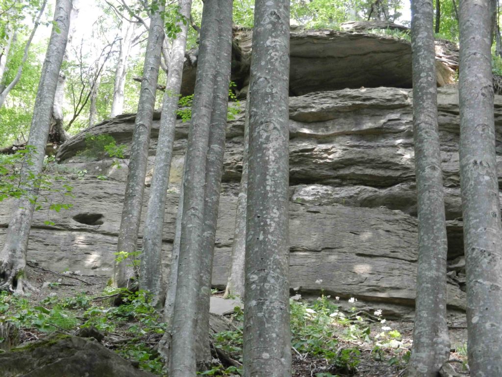 inclusione interessante