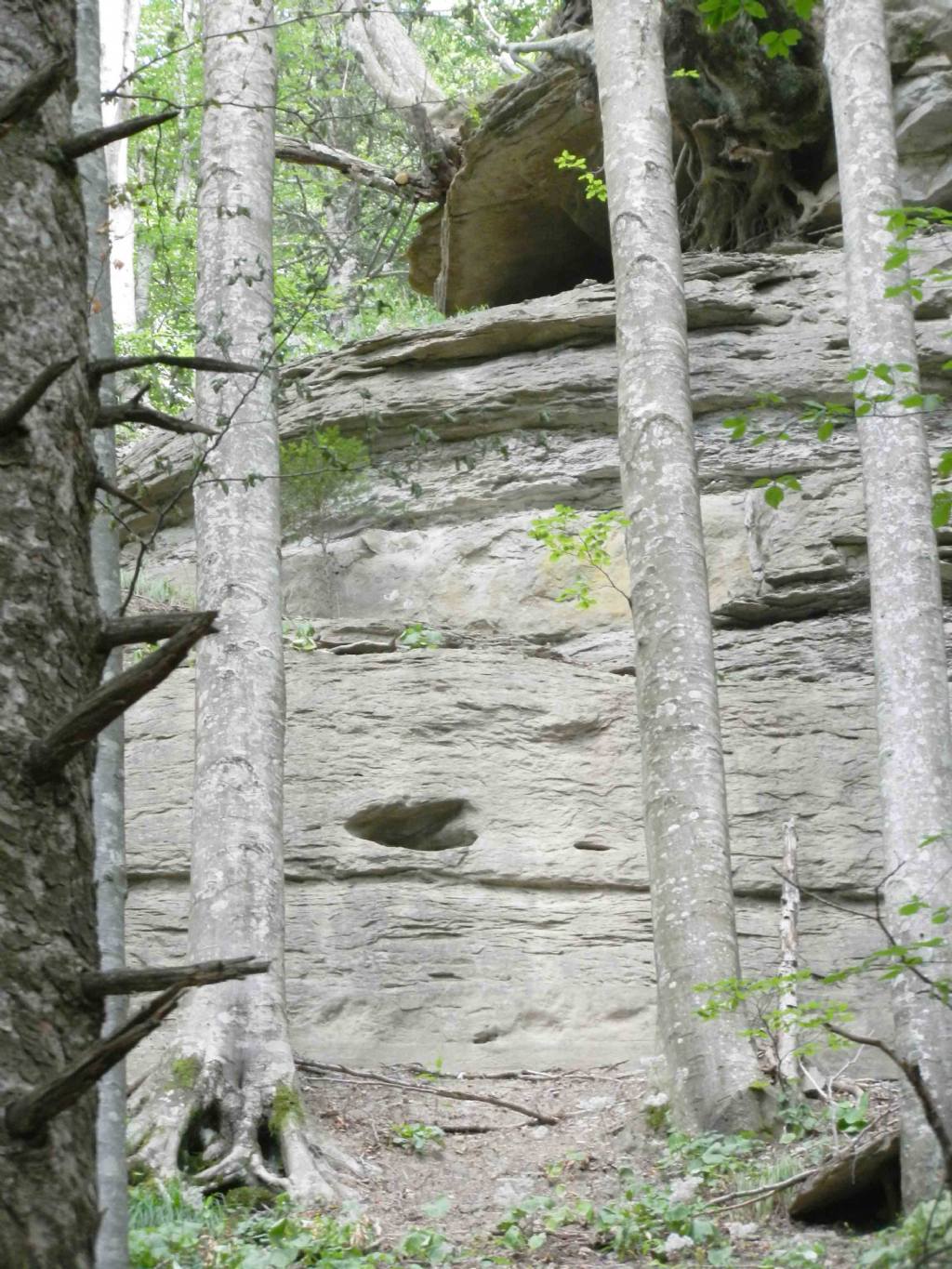 inclusione interessante