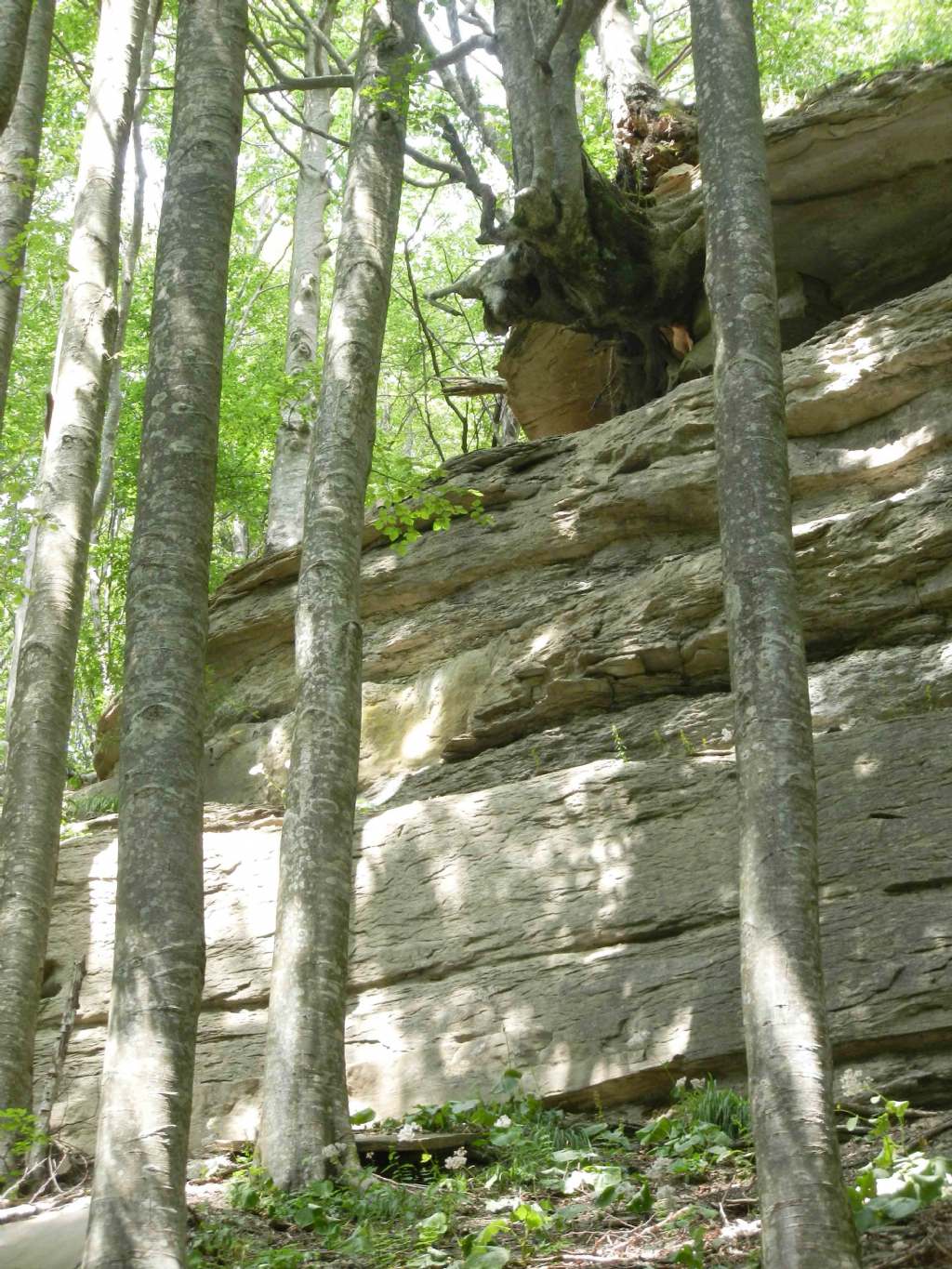 inclusione interessante