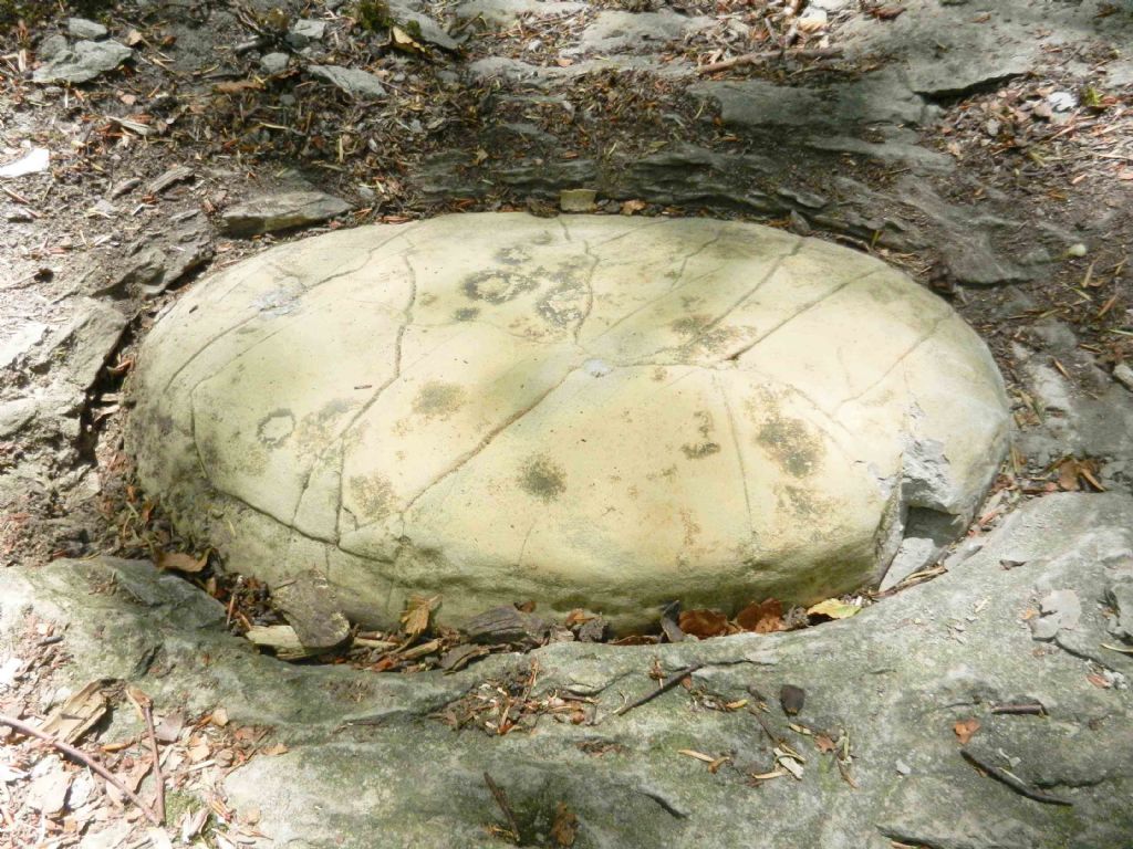 inclusione interessante