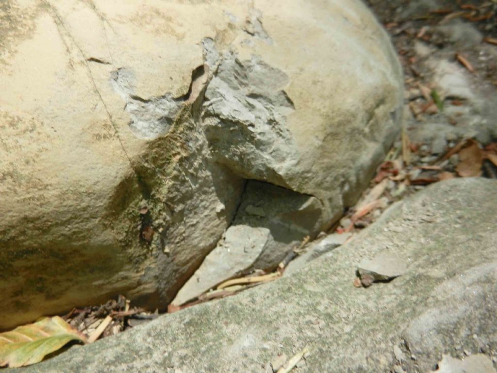 inclusione interessante