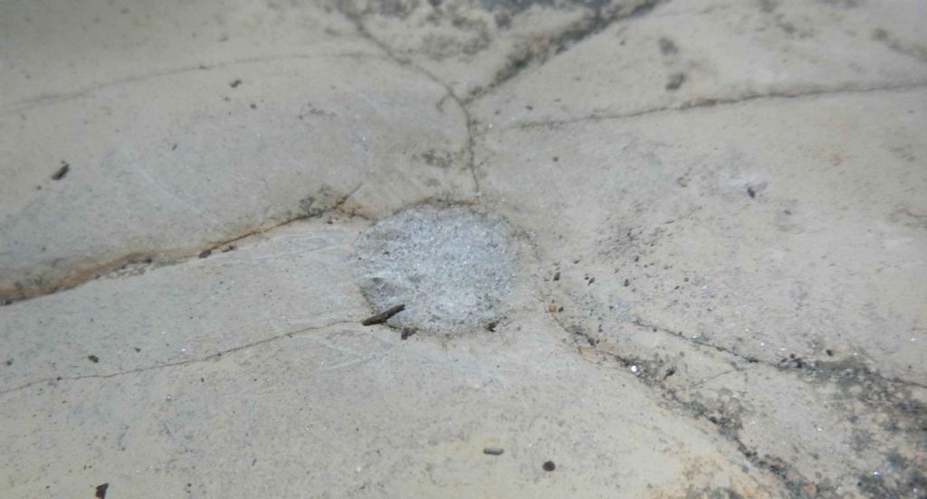 inclusione interessante