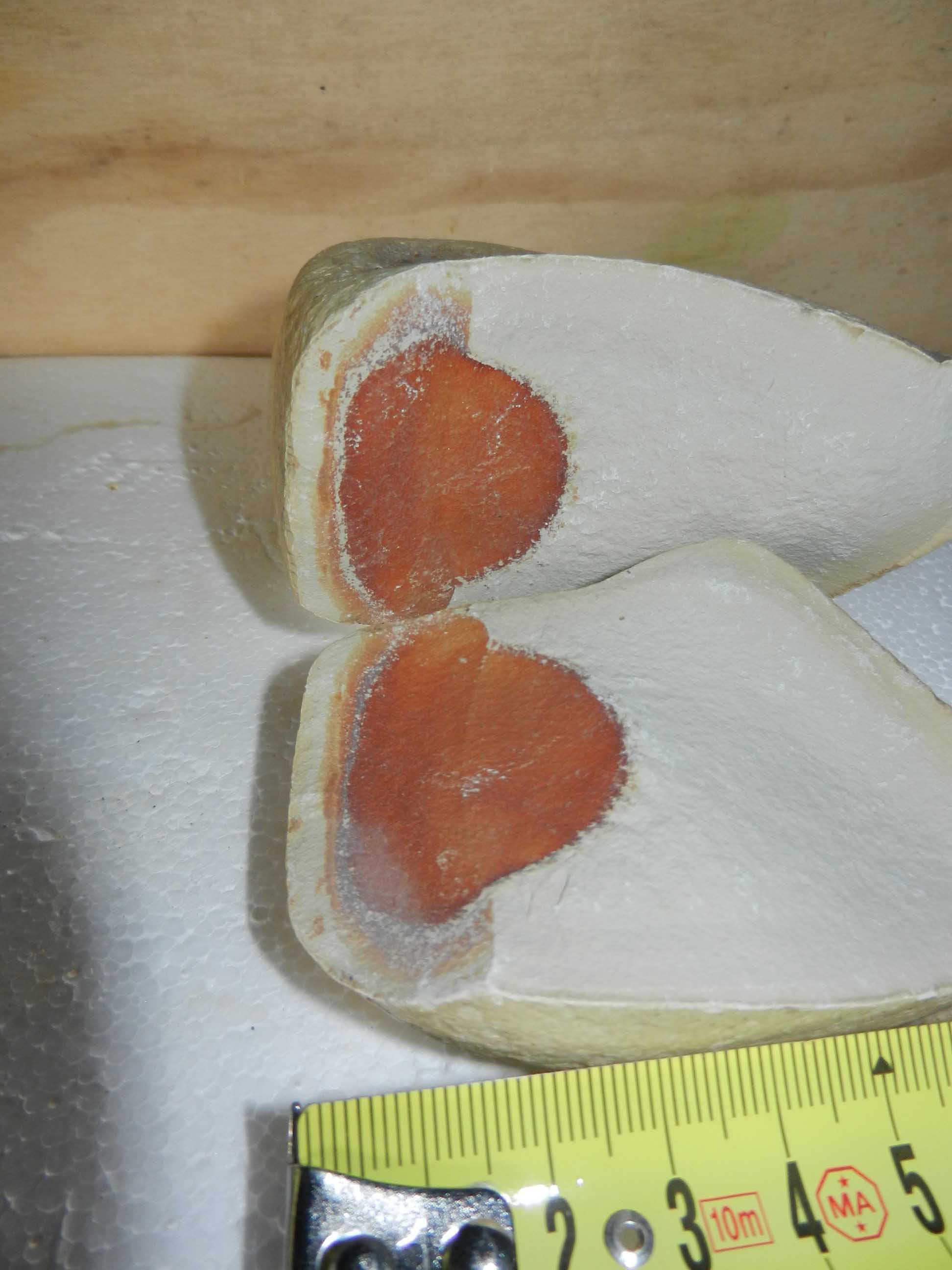 Sasso con sorpresa - nucleo ossidato, probabile concrezione