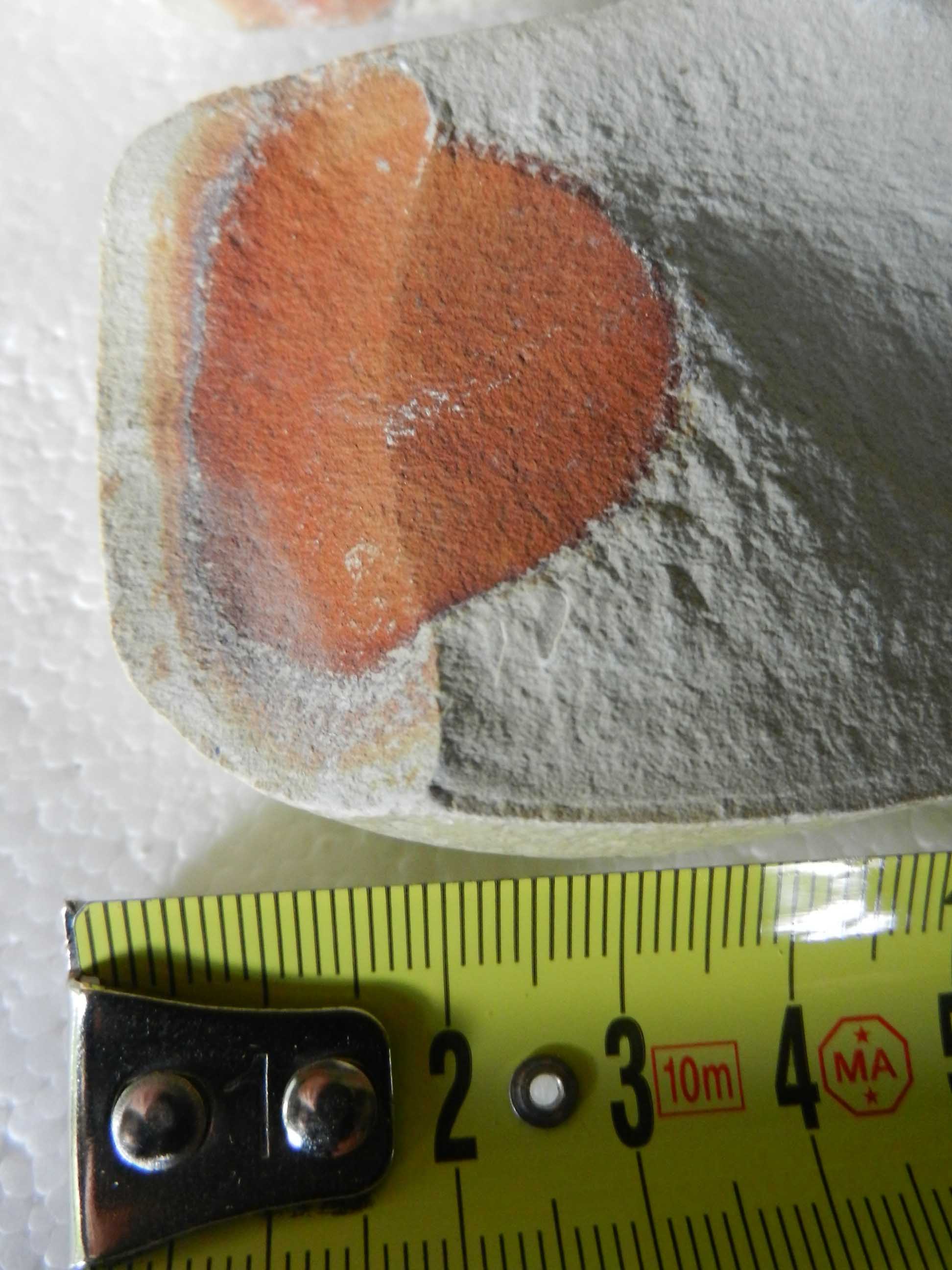 Sasso con sorpresa - nucleo ossidato, probabile concrezione