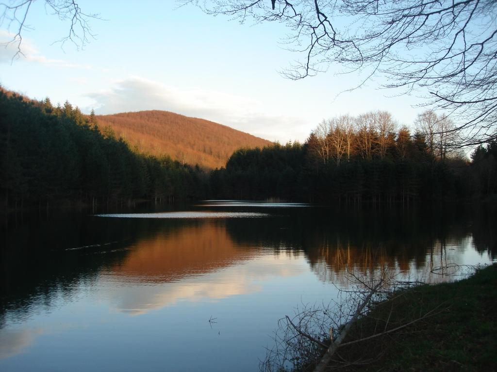 Laghi.........della CALABRIA